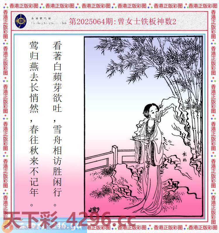 ：曾女士铁板神数2